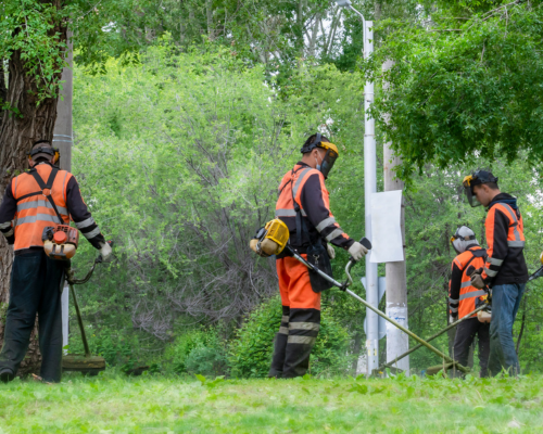 landscaping-contractors