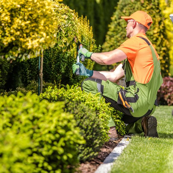 landscaping-contractor