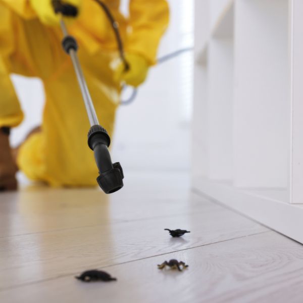 pest-control-contractor